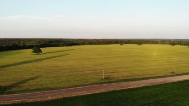 Güzel hava görüntüsü, sarı arazi ve patikanın üzerinde uçuyor, İHA, üst görüş, yukarıdan çekim — Stok video