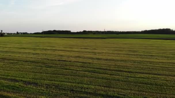 Voando sobre a paisagem bonita do lado do país com campo e árvores, no por do sol, tiro aéreo, drone — Vídeo de Stock