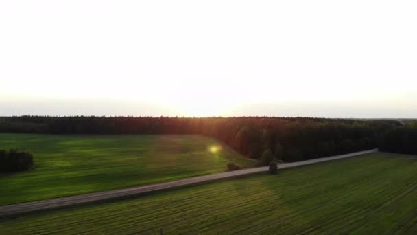 Vliegen omhoog door aok boombladeren en zonnestralen over prachtige landschap met veld en — Stockvideo