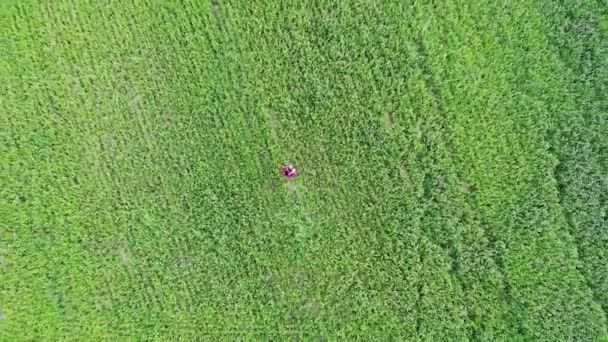 Mujer en vestido rojo girando alrededor en un campo verde, libertad feliz, concepto inspirador, vista desde — Vídeo de stock