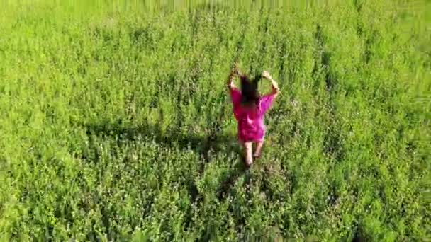 Сексуальна дівчина в червоній сукні, що йде зеленим полем на відкритому повітрі, трясе волосся і рухається спокусливо, весело — стокове відео