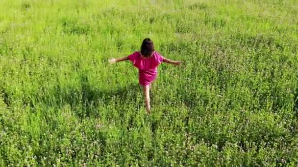 Donna in abito sexy rosso a piedi da campo verde, alzare le mani, felice concetto di libertà di ispirazione — Video Stock