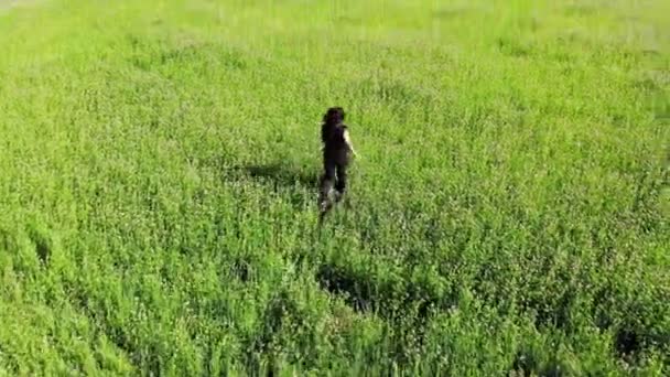 Mujer feliz corriendo por el campo verde, concepto inspirador libertad felicidad, disparado desde el dron por encima — Vídeo de stock