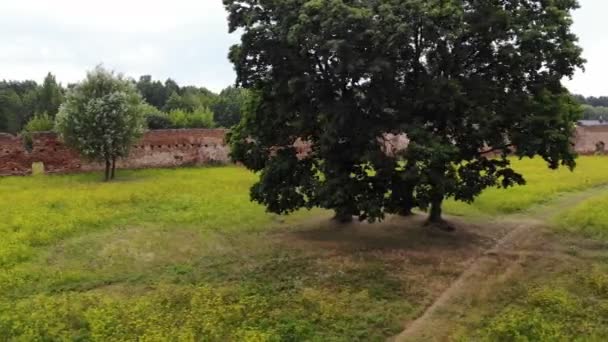 Πετώντας πάνω από παλιά αρχαία ερείπια κτίριο Cactle, κορυφή άποψη drone από ψηλά, αρχαιολογία ιστορία — Αρχείο Βίντεο