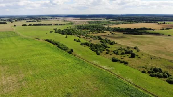 Voando sobre a bela paisagem verde do lado do país com campo e árvores, natureza belarus, verão — Vídeo de Stock