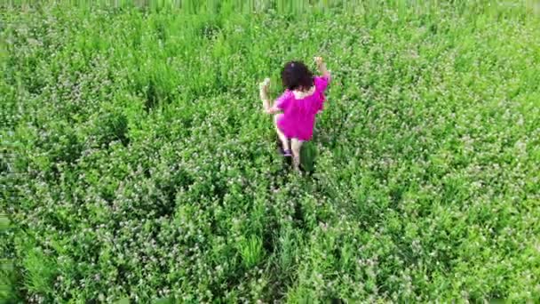 Сексуальна дівчина в червоній сукні танцює на відкритому повітрі в зеленому полі, торкаючись волосся і рухаючись спокусливо, весело — стокове відео