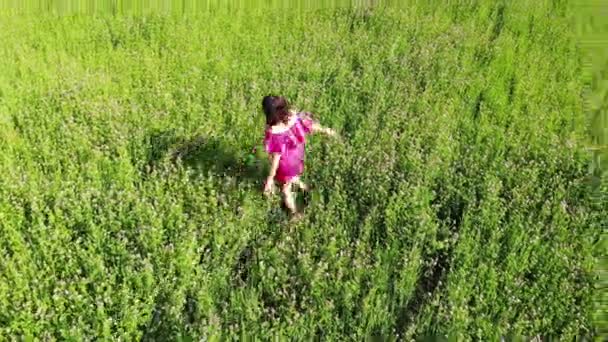Sexy dívka v červených šatech točení v zeleném poli venku, dotýkání se vlasů a pohybující se svůdné, zábavné — Stock video
