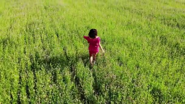 Sexig tjej i röd klänning som springer och snurrar i grönt fält utomhus, vidrör håret och rör sig — Stockvideo