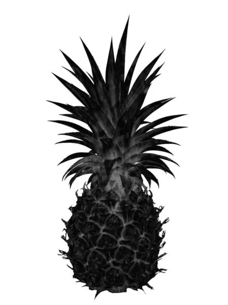 Schwarze Ananas Auf Weißem Hintergrund — Stockfoto