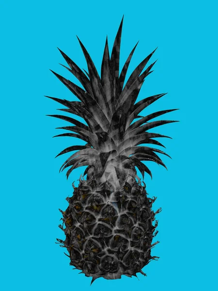 Schwarze Ananas Auf Blauem Hintergrund — Stockfoto
