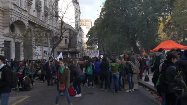 Vue Ensemble Point Rencontre Rue Pour Les Écoles Pro Avortement — Video