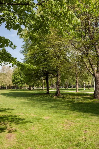 Kamu parki yeşil çim alan, yeşil ağaç bitki ve mavi gökyüzü ile sahnede güzel park