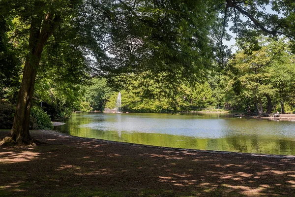 Beautiful Park Scene Public Park Green Grass Field Green Tree — Stock Photo, Image