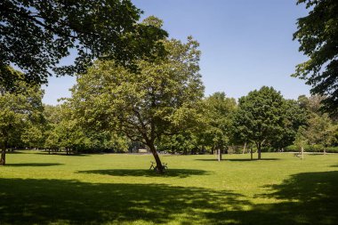 Almanya, Köln 'deki Volksgarten Park' ta güzel bir park sahnesi