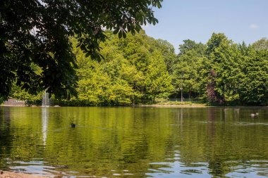 Yeşil çim tarlası, yeşil ağaç bitkisi, mavi gökyüzü ve gölü olan güzel bir park yeri.