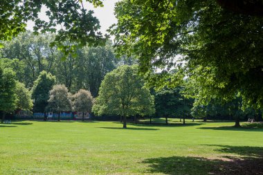 Kamu parki yeşil çim alan, yeşil ağaç bitki ve mavi gökyüzü ile sahnede güzel park