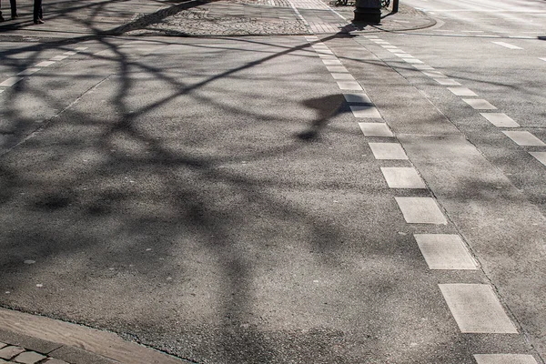 The shadow of tree and a street sign on the sunny pavement