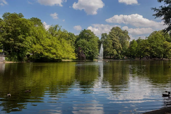 Hermosa Escena Del Parque Parque Público Con Campo Hierba Verde — Foto de Stock