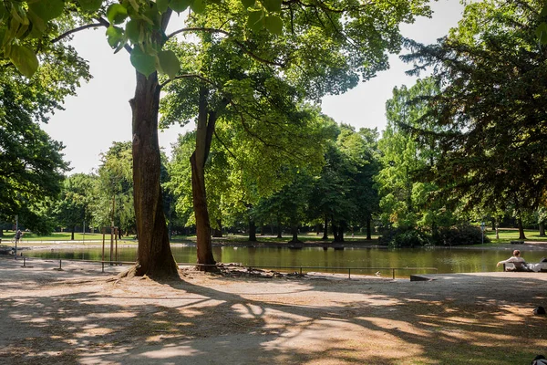 Yeşil çim tarlası, yeşil ağaç bitkisi, mavi gökyüzü ve gölü olan güzel bir park yeri.