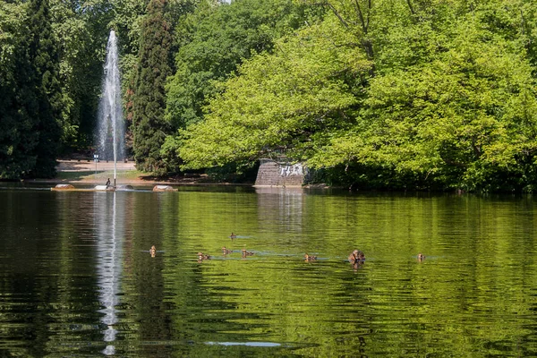 Vacker Park Volksgarten Park Köln Tyskland — Stockfoto