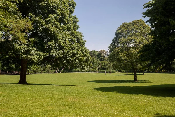 Kamu parki yeşil çim alan, yeşil ağaç bitki ve mavi gökyüzü ile sahnede güzel park