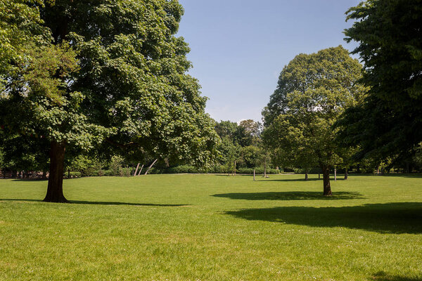 Beautiful park scene in public park with green grass field, green tree plant and blue sky