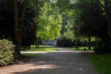 Kamu parki yeşil çim alan, yeşil ağaç bitki ve mavi gökyüzü ile sahnede güzel park