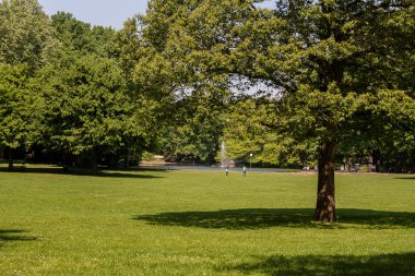 Kamu parki yeşil çim alan, yeşil ağaç bitki ve mavi gökyüzü ile sahnede güzel park