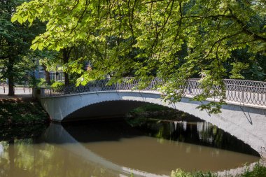 Kamu parkında güzel bir park manzarası. Çim ağaçları, su ve ağacın yansıması.