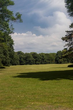 Kamu parki yeşil çim alan ve yeşil ağaç bitki ile sahnede güzel park