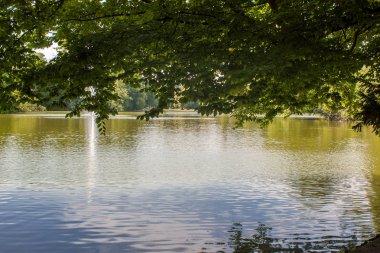 Çim, ağaçlar, su ve suda ağaçların yansıması kamu parki sahnede güzel park
