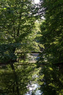 Kahnweiher bölge Lindenthal, Almanya, Köln şehir ormanındaki gölet