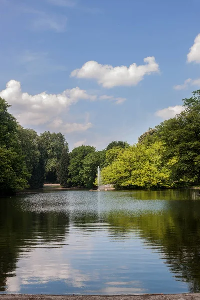 Bela Cena Parque Parque Público Com Campo Grama Verde Planta — Fotografia de Stock