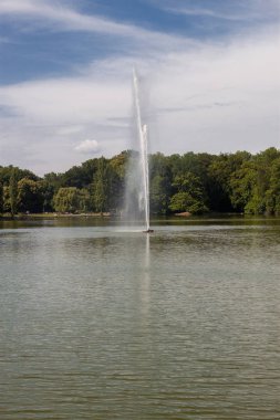 Yeşil çim tarlası, yeşil ağaç bitkisi, mavi gökyüzü ve gölü olan güzel bir park yeri.