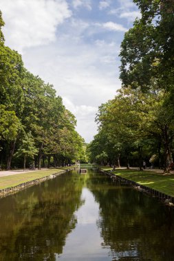 Kamu parkında güzel bir park manzarası. Çim ağaçları, su ve ağacın yansıması.