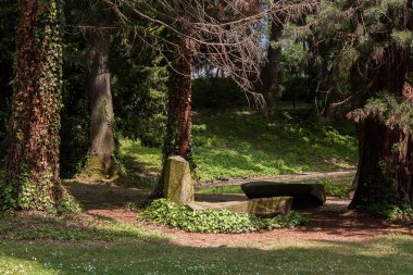 Kamu parki yeşil çim alan ve yeşil ağaç bitki ile sahnede güzel park