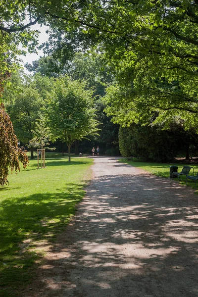 Hermosa Escena Del Parque Parque Público Con Campo Hierba Verde — Foto de Stock