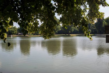Güzel park sahne genel Park