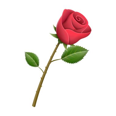 Kırmızı bud yaprakları ve yeşil yaprak izole ile vektör kırmızı gül