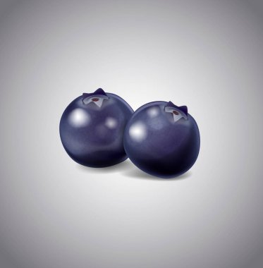 Beyaz arka plan üzerinde izole yaban mersini meyve. Vektör berrie