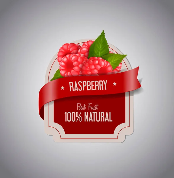 Berry Label Ripe Raspberry Green Leaves Raspberry Jam Label Design — Stock Vector