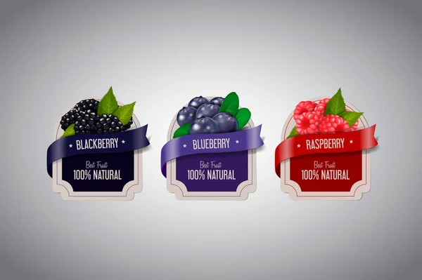 Realistyczne Berry Etykiety Ustawić Blackberry Borówki Maliny Owoce Białym Tle — Wektor stockowy
