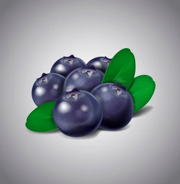 Blueberry Owoce Białym Tle Wektor Zielony Liści Jagód — Wektor stockowy