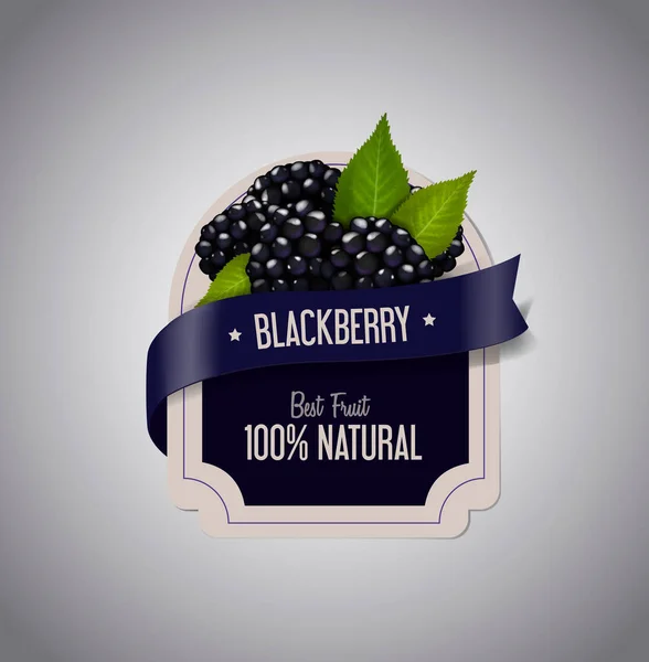Berry Label Ripe Blackberry Green Leaves Blackberry Jam Label Design — Stock Vector
