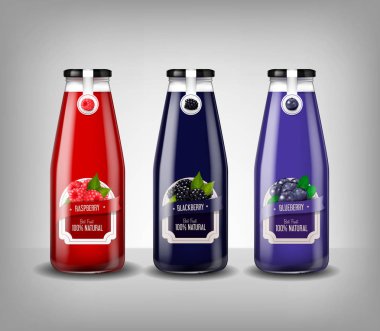 Gerçekçi cam şişe dizi yaban mersini, ahududu ve yaban mersini suyu, içki mock-up izole.