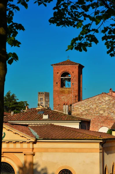 Lucca Middeleeuws Historisch Centrum Met Oude Torens — Stockfoto