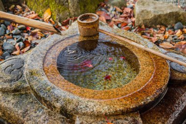 Bambu kepçe ve sonbaharda kırmızı akçaağaç ile Japonya, ritüel abdest için eski taş chozubachi içinde bırakır