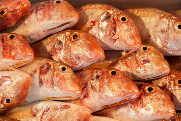 Red Goatfish heads at the Fish market