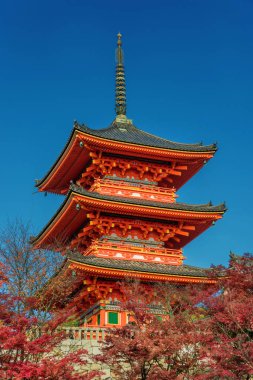 Kyoto, Japonya, 23 Kasım 2017 - sonbahar yaprakları üzerinde ünlü Kiyomizu Tapınağı Pagoda yükselişi