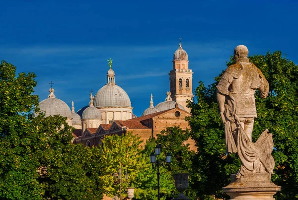 Kamery Kopułkowe Placu Prato Della Valle Trawnik Doliny Padwie Antyczny — Zdjęcie stockowe